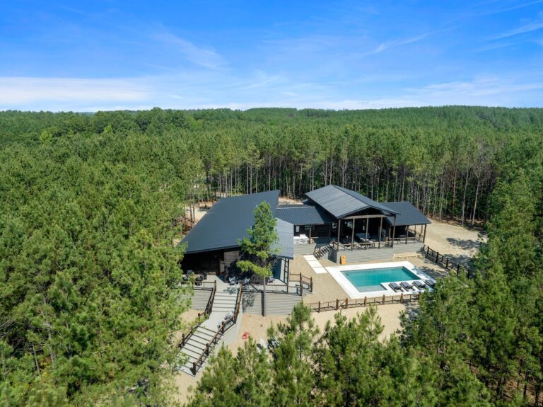 Aerial view of modern cabin surrounded by pine trees for a family reunion getaway.
