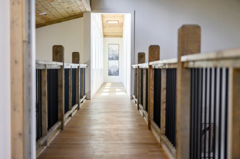 Hallway with rustic wood accents leading to stargazing bedrooms at Sky Dive Cabin